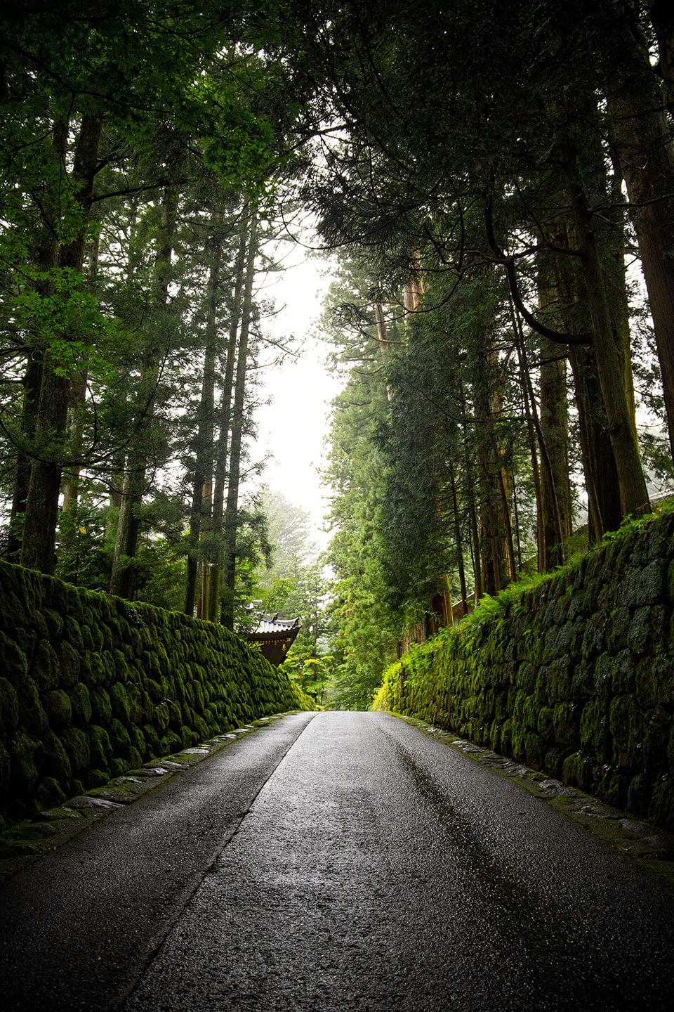 Les routes du Japon, photographie de voyage